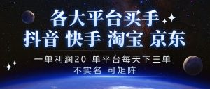 小红书虚拟电商5.0，单店单日1000+，AI软件+SEO收录，双重流量稳定出单【揭秘】-开心分享网