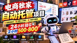 电商独家自动托管项目,24小时挂G,2小时500-800,附全套工具【揭秘】-开心分享网