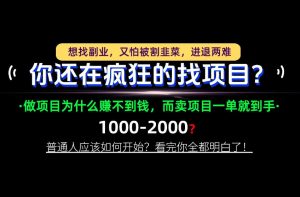 你还在疯狂的找项目？别傻了！卖项目才是真正的一本万利！怎么做，看完你全都明白！【揭秘】-开心分享网