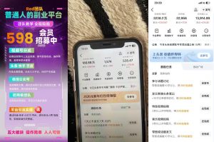 收费598的Red团队普通人副业陪跑，视频号、公众号、头条、百度、快手多平台矩阵变现，新手小白也能月入1W-开心分享网