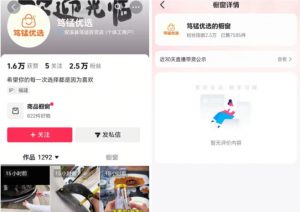 无需实拍也能做好抖音车载带货项目,收益非常稳定,每天坚持发就可以!-开心分享网